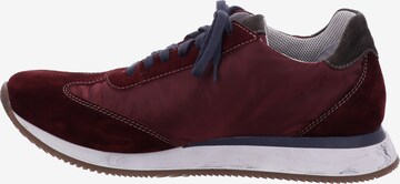 JOSEF SEIBEL Sneaker 'Anton' in Rot