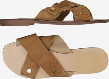 ALDO Sandals & High-Heeled Sandals in 41 in Brown: front
