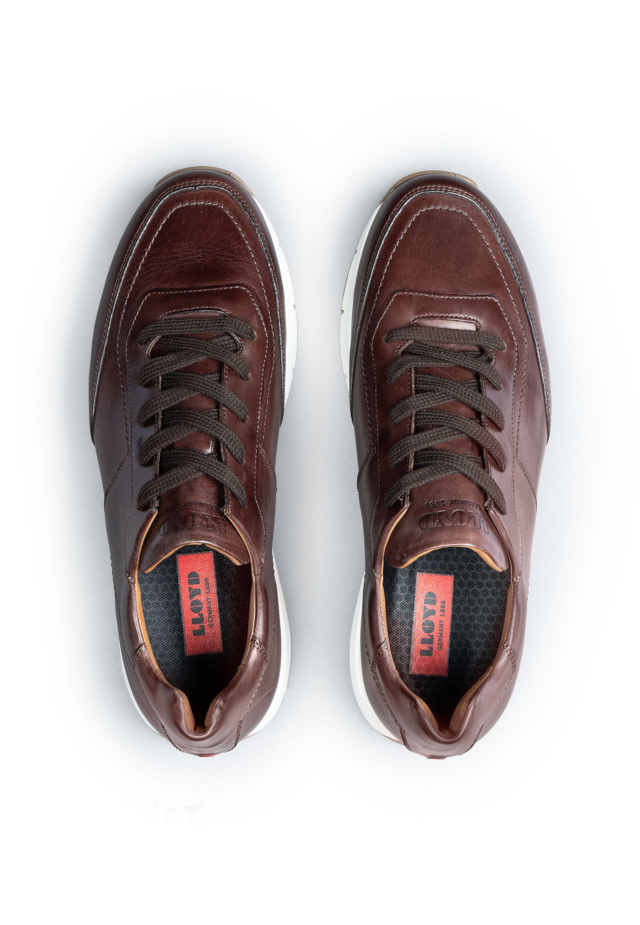 LLOYD Sneakers 'AMSTERDAM' in Brown