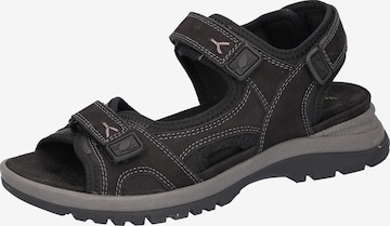 WALDLÄUFER Sandale in Schwarz: Vorderseite