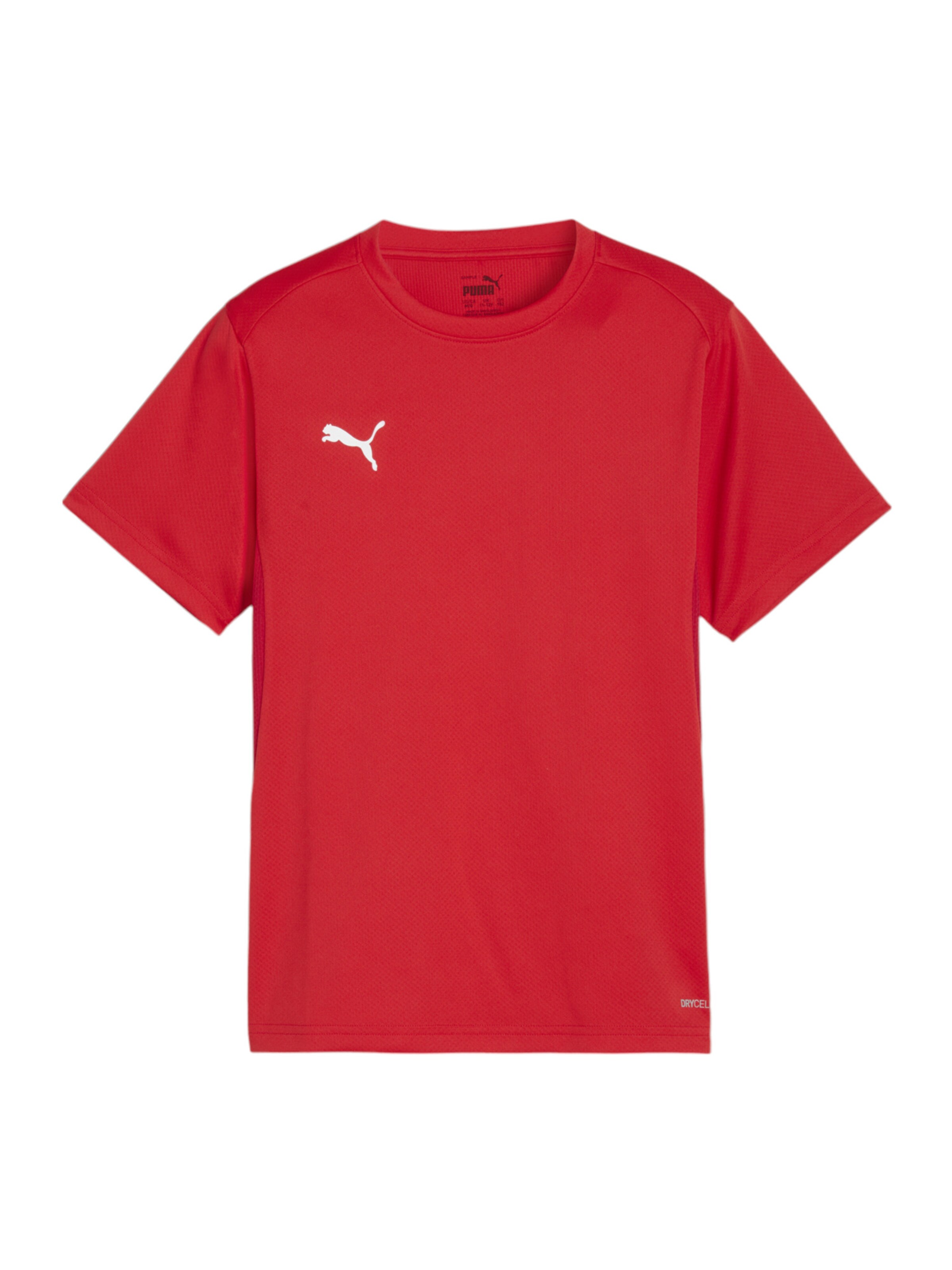 PUMA Funktionsshirt 'TeamGoal' in Rot: Vorderseite