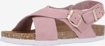 Cruz Sandals 'Peit' in Mixed colors: front