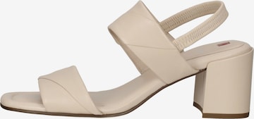 Sandalo con cinturino di Högl in beige