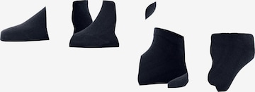 FALKE Füßlinge 'Happy 2-Pack' in Blau: Vorderseite