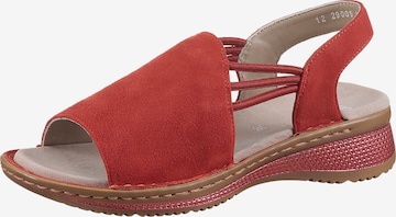 ARA Sandale 'Hawaii' in Rot: Vorderseite