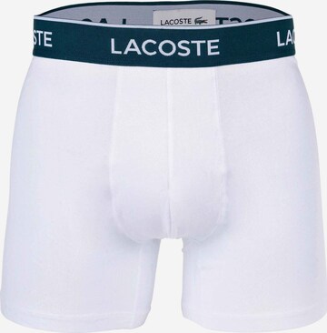 Boxer di LACOSTE in grigio