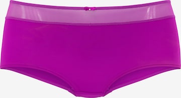 NUANCE Boyshorts in Purple: front