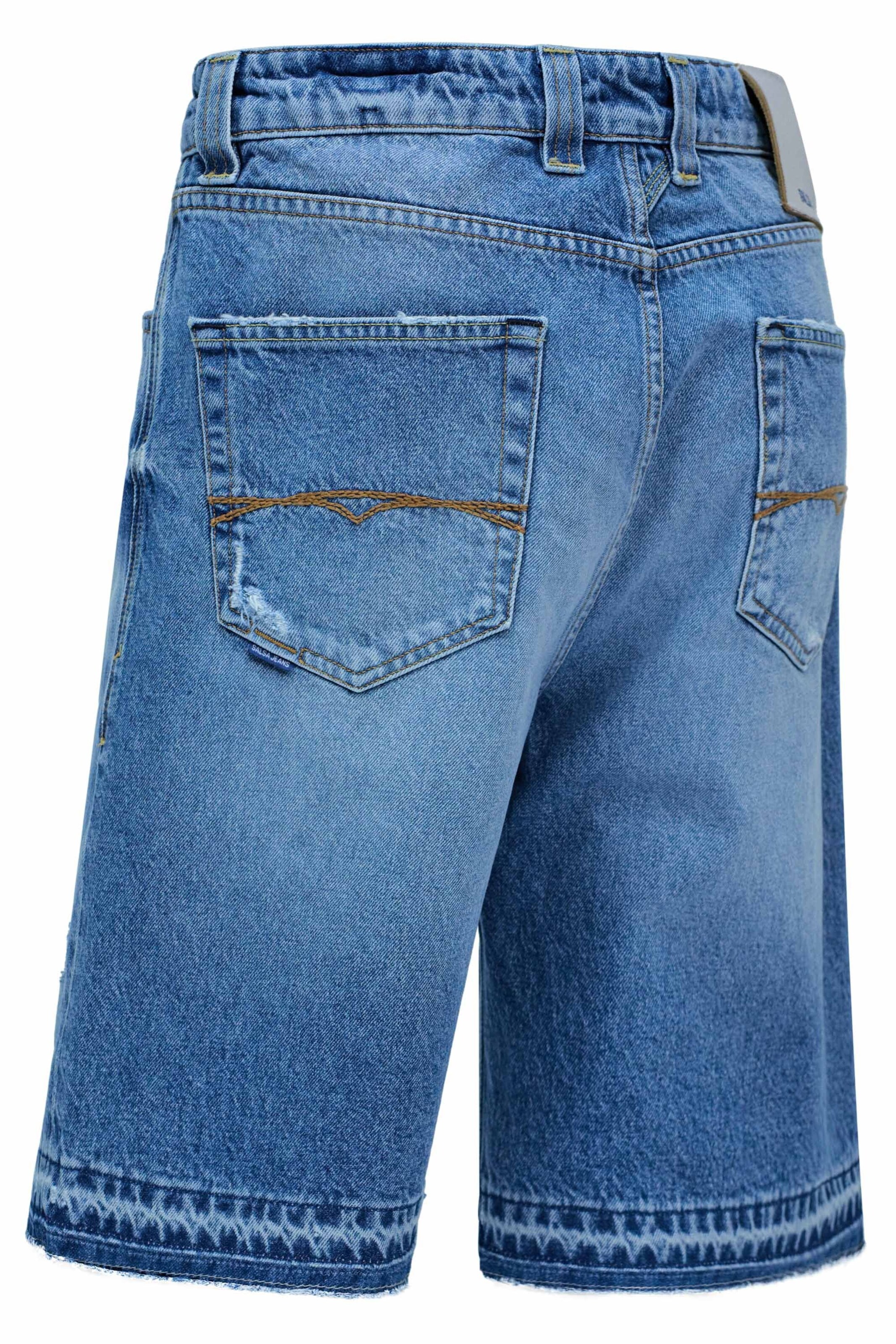 Salsa Jeans Regular Jeans in Blauw