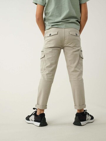 Coupe slim Pantalon 'Danakil' Deeluxe en gris