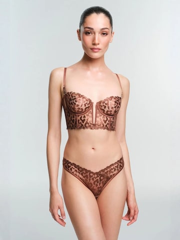 PentiBustier Grudnjak 'BHs & Bralettes' - smeđa boja
