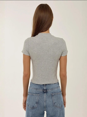 Hiccup Blouse 'Blusen' in Grijs