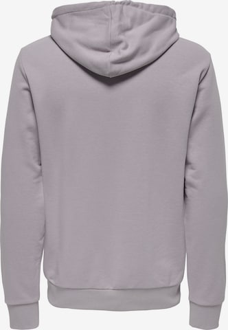 Only & Sons Sweatshirt 'Lenny' in Grey