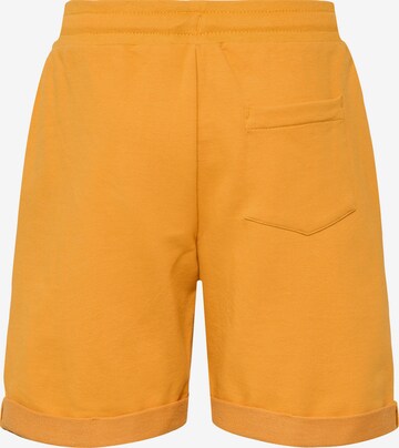 Hummel Regular Pants 'Tyler' in Yellow