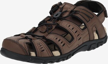 GEOX Sandalen in Bruin: voorkant