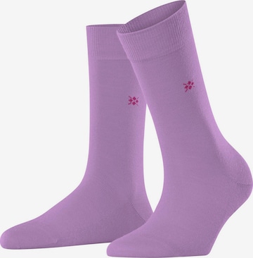 Chaussettes BURLINGTON en violet : devant