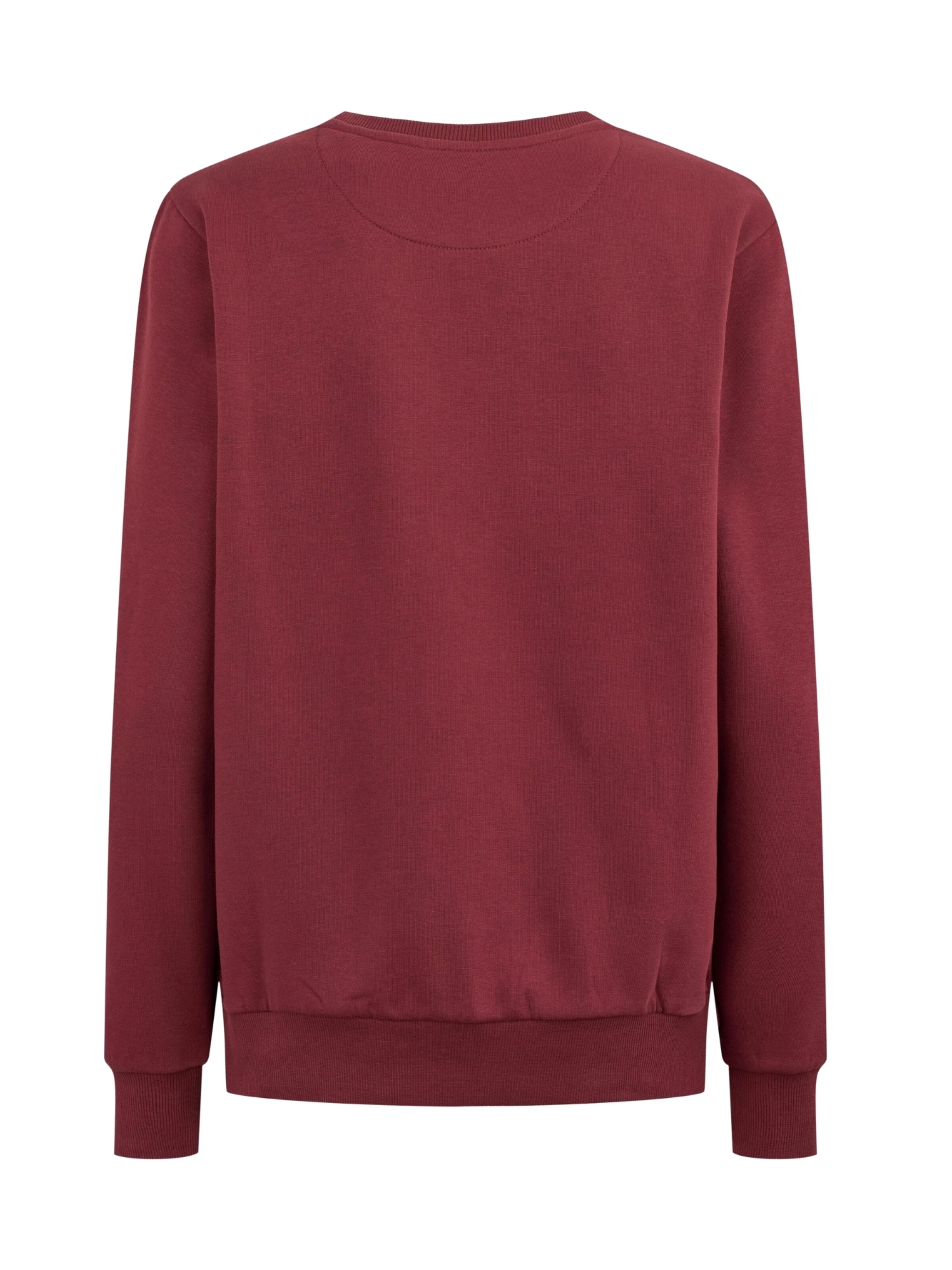 U.S. POLO ASSN. Sweatshirt ' Helen ' i rød