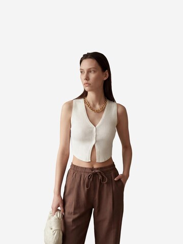 My fashion Regular Pants in Brown