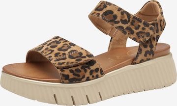 Sandales Tamaris Comfort en beige : devant