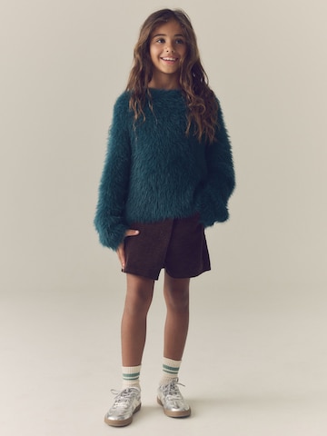 Next Trui in Blauw: voorkant