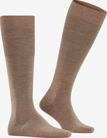 FALKE Knee High Socks 'Airport' in Brown: front