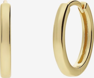 Boucles d'oreilles Lucardi en or : devant