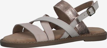 s.Oliver Strap Sandals in Mixed colors: front