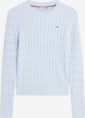 TOMMY HILFIGER Sweater in Blue: front