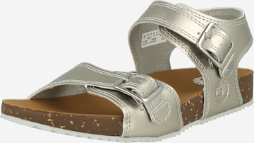 TIMBERLAND Sandals 'Castle Island' in Grey: front