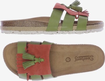 Deerberg Sandals & High-Heeled Sandals in 38 in Green: front