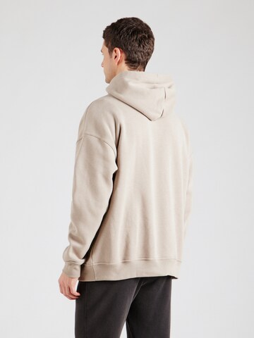 HOLLISTERSweater majica - smeđa boja