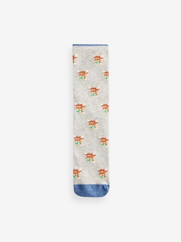 Chaussettes Next en mélange de couleurs
