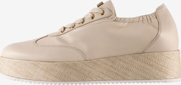 Högl Lace-Up Shoes 'JODIE' in Beige: front