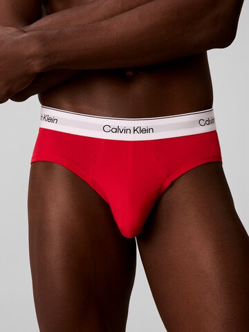 Calvin Klein Underwear Slip in Gemengde kleuren