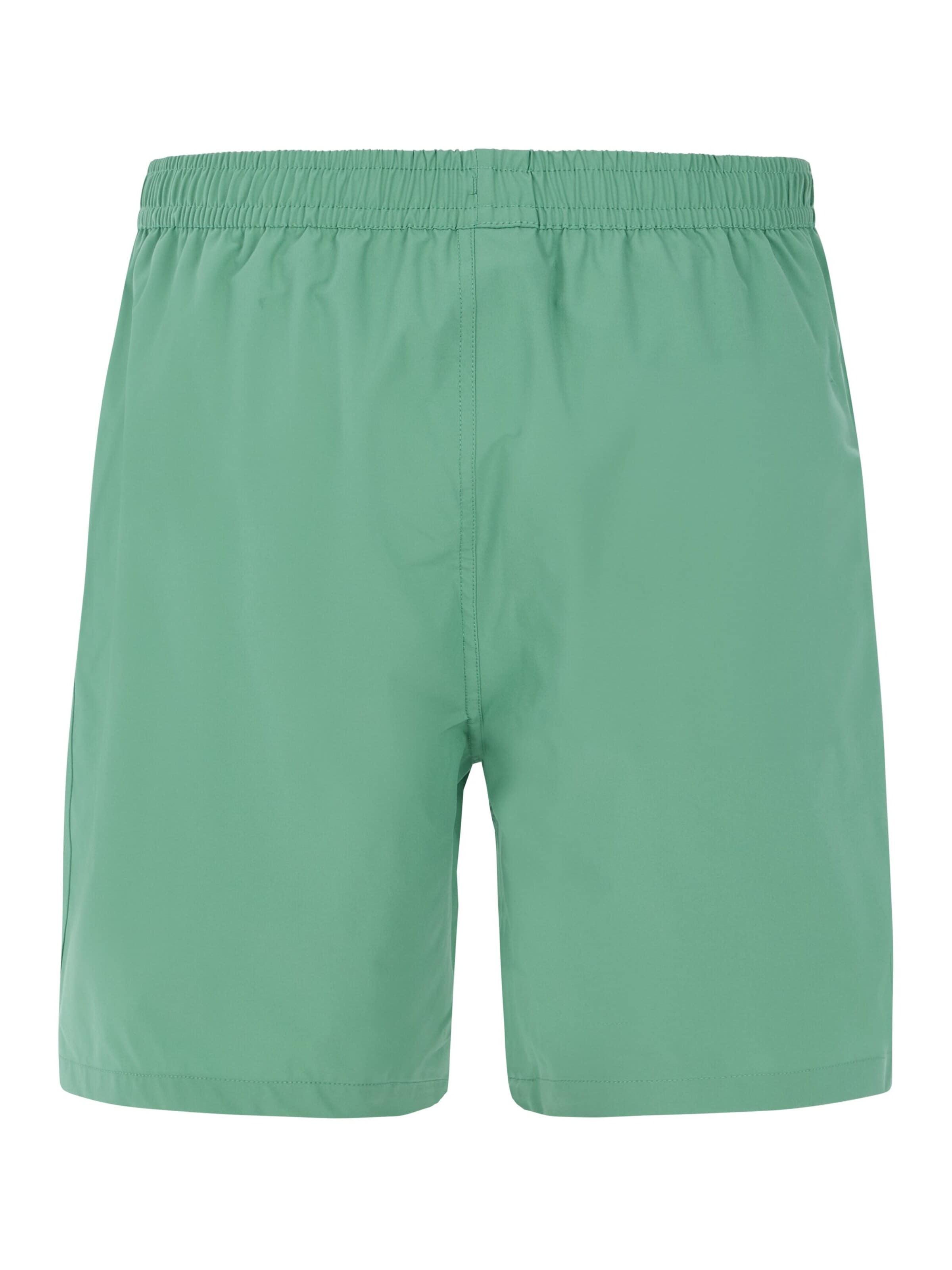 PROTEST Board Shorts 'PRTBaky' in Green