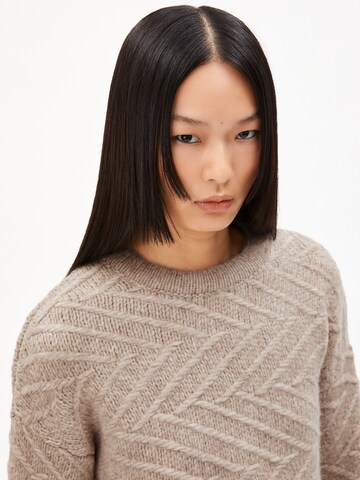 ARMEDANGELS Pullover 'Daagny Diagonal' in Braun