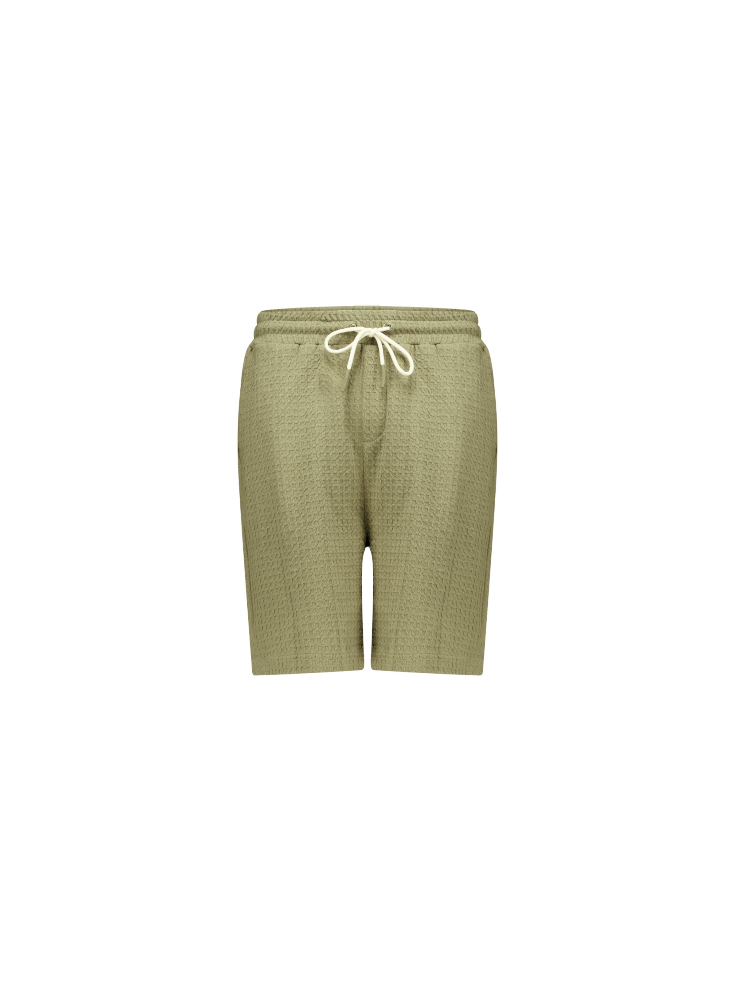 Regular Pantalon 'Nolan' Deeluxe en vert : devant