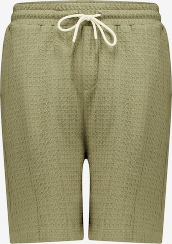 Regular Pantalon 'Nolan' Deeluxe en vert : devant