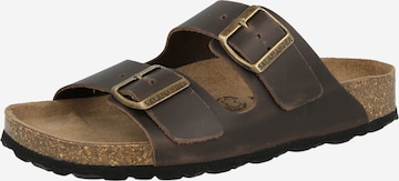 SALAMANDER Чехли в кафяво: отпред