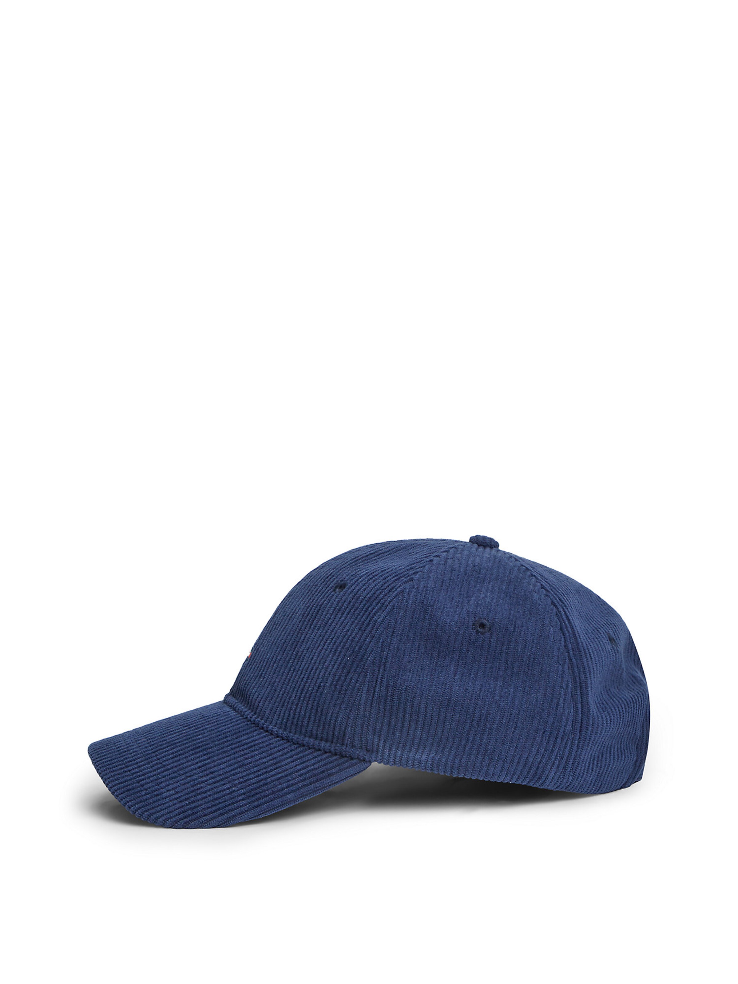 TOMMY HILFIGER Pet in Blauw