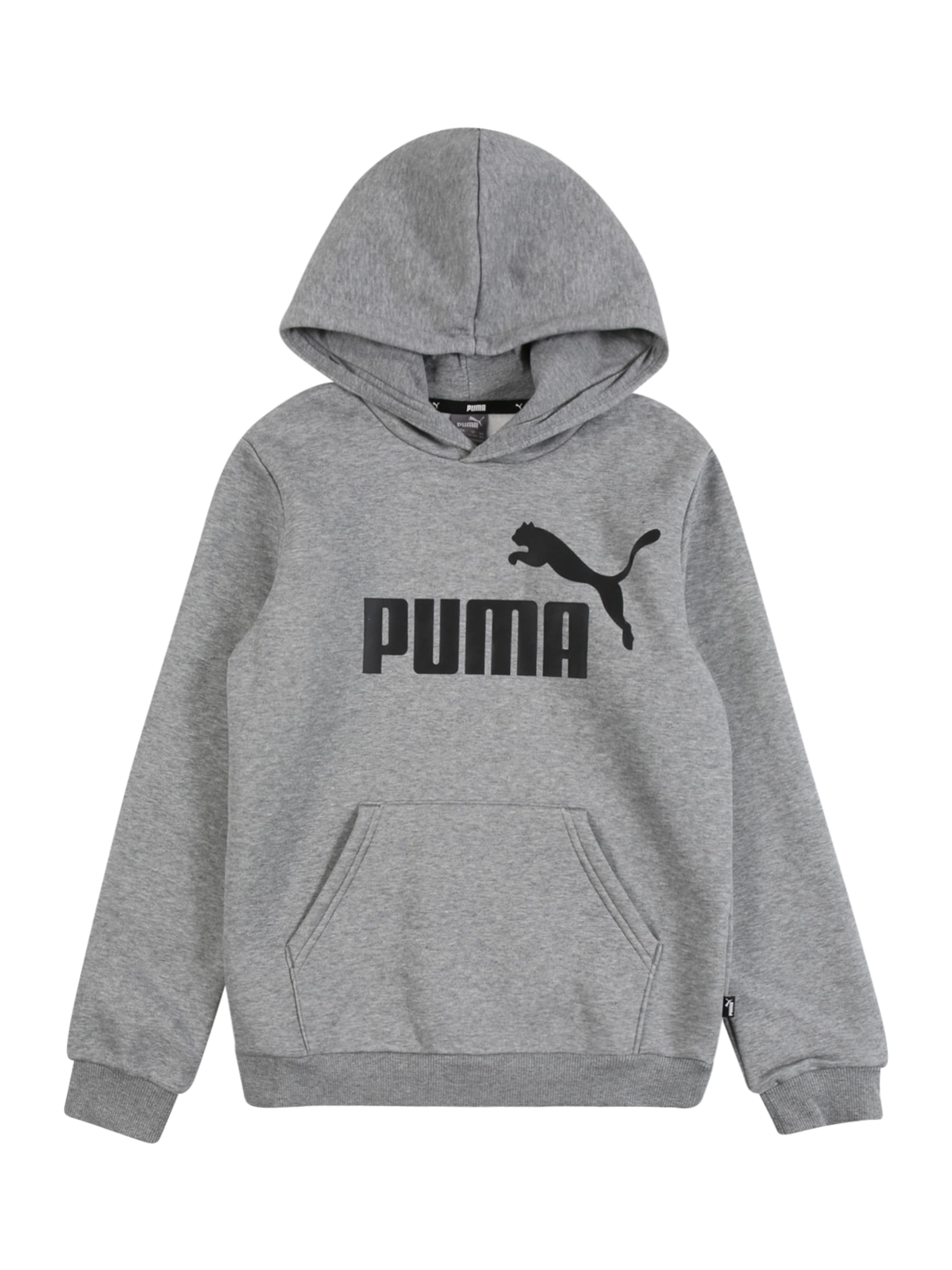 PUMA Collegepaita 'Essentials' värissä harmaa: etupuoli