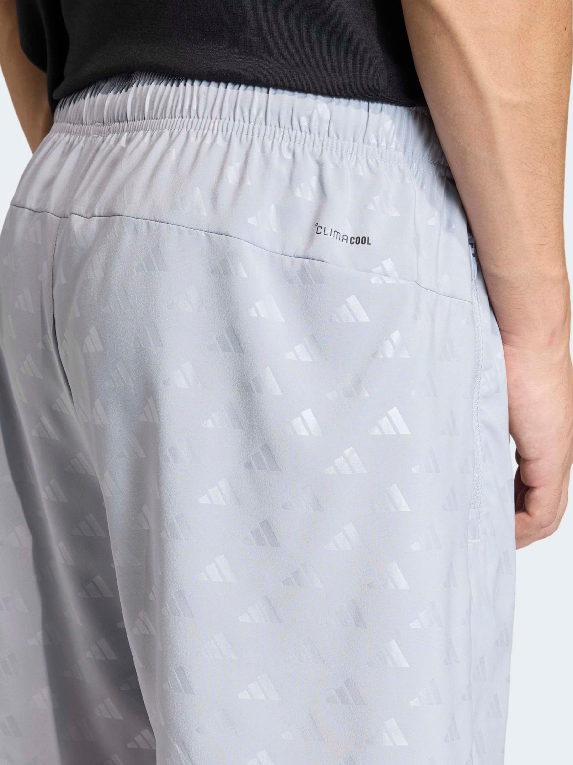 ADIDAS PERFORMANCE - regular Pantalón deportivo en gris