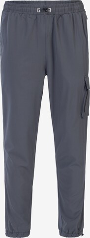 Regular Pantalon de sport Spyder en gris : devant