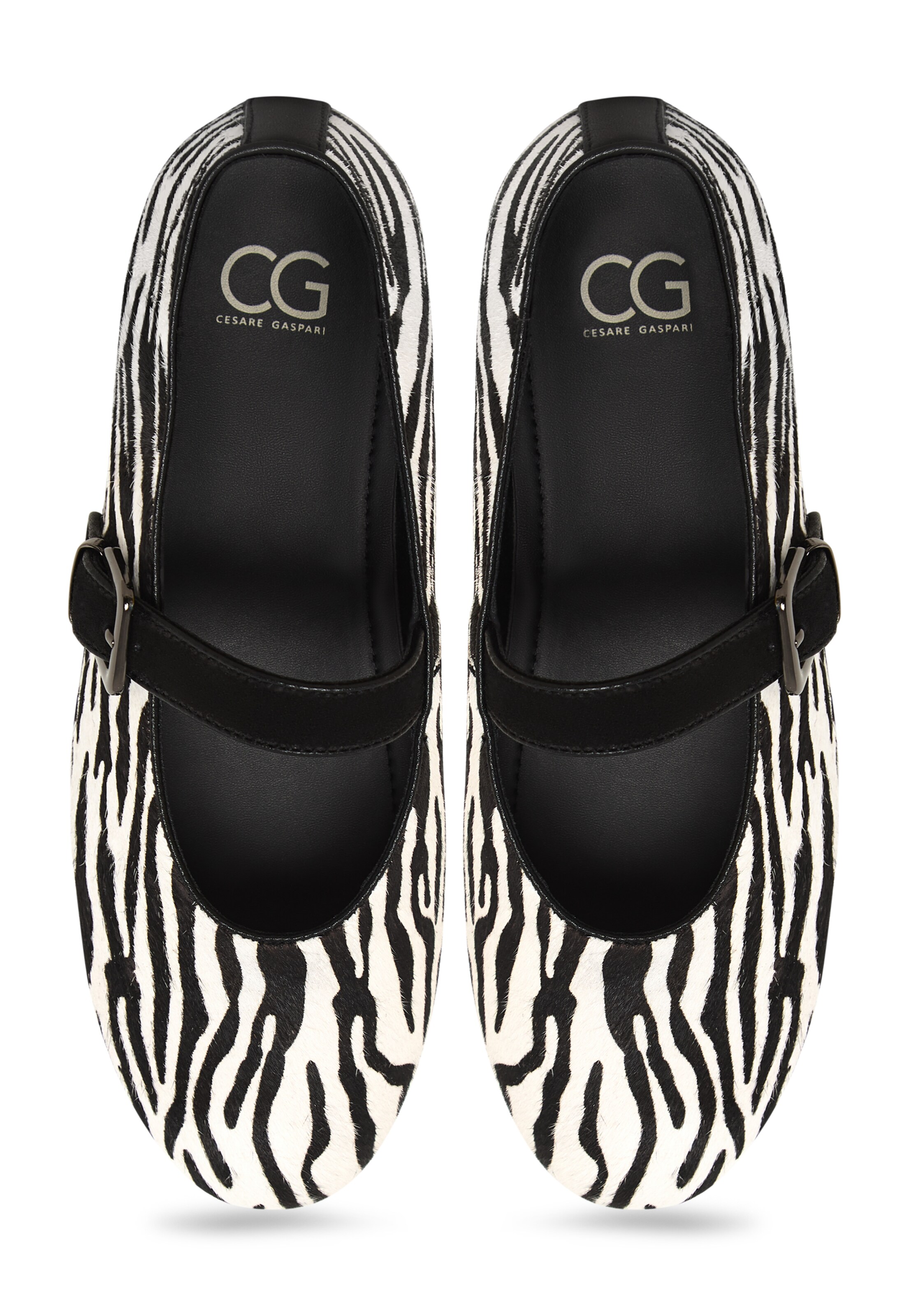 CESARE GASPARI Strap ballerina in Black