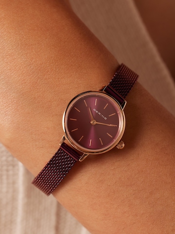 BERING Uhr in Lila: Vorderseite