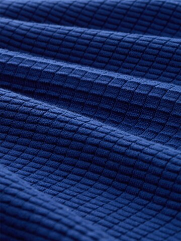 TOM TAILOR DENIM Trui in Blauw