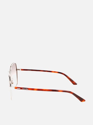 Occhiali da sole di Calvin Klein in marrone