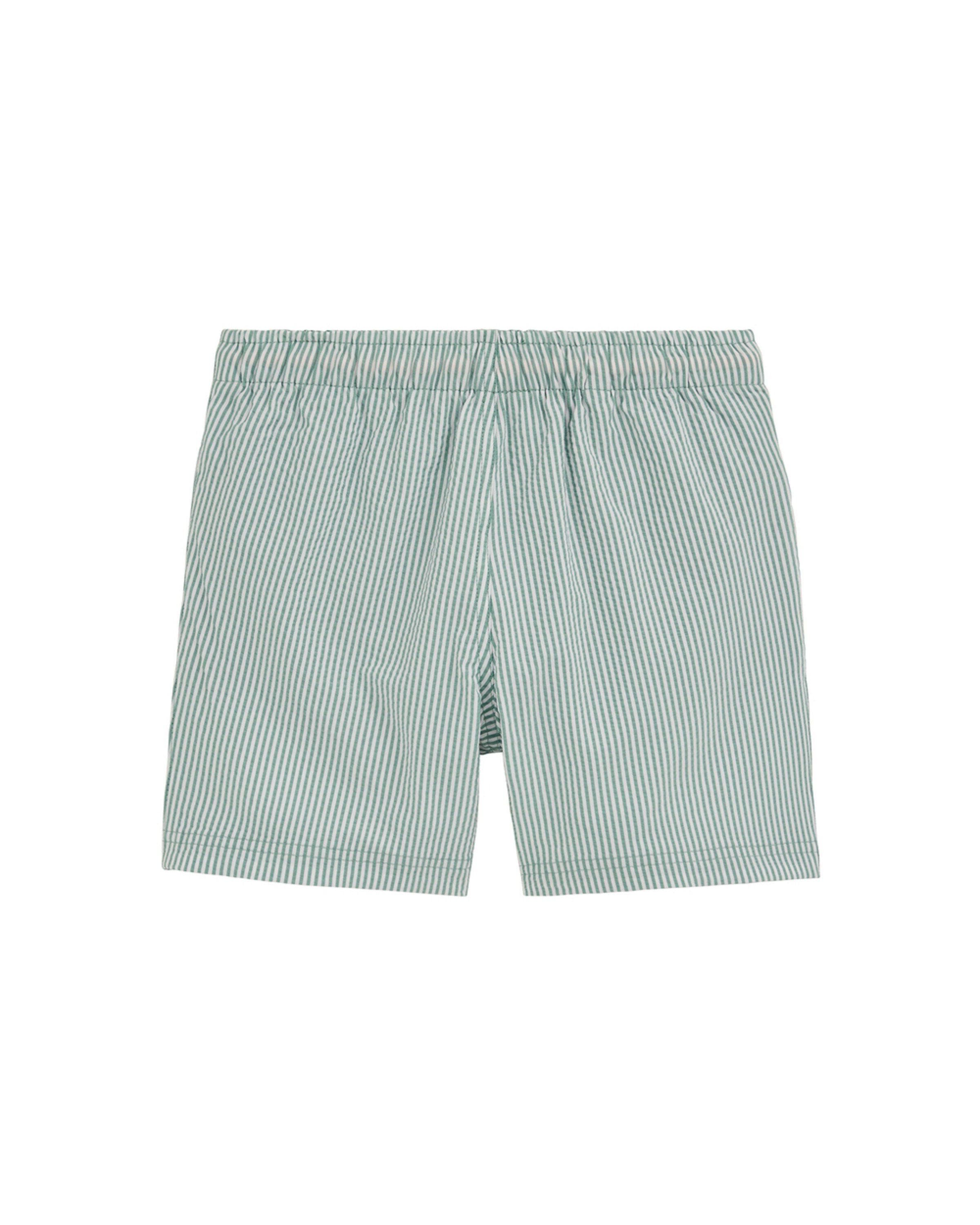 WE Fashion Badbyxa i grön