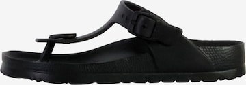 Plakton Pantolette in Schwarz: Vorderseite