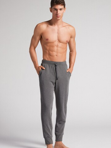 INTIMISSIMI Tapered Hose in Grau