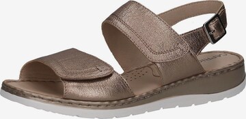 CAPRICE Sandals in Brown: front